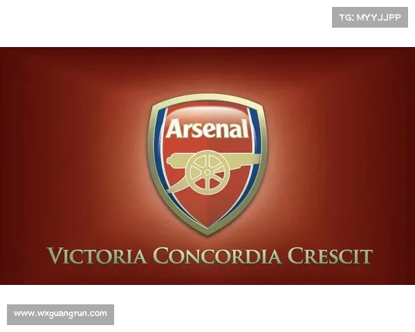 围绕阿森纳队徽形象深入解析其历史与象征意义探秘内涵变迁之旅